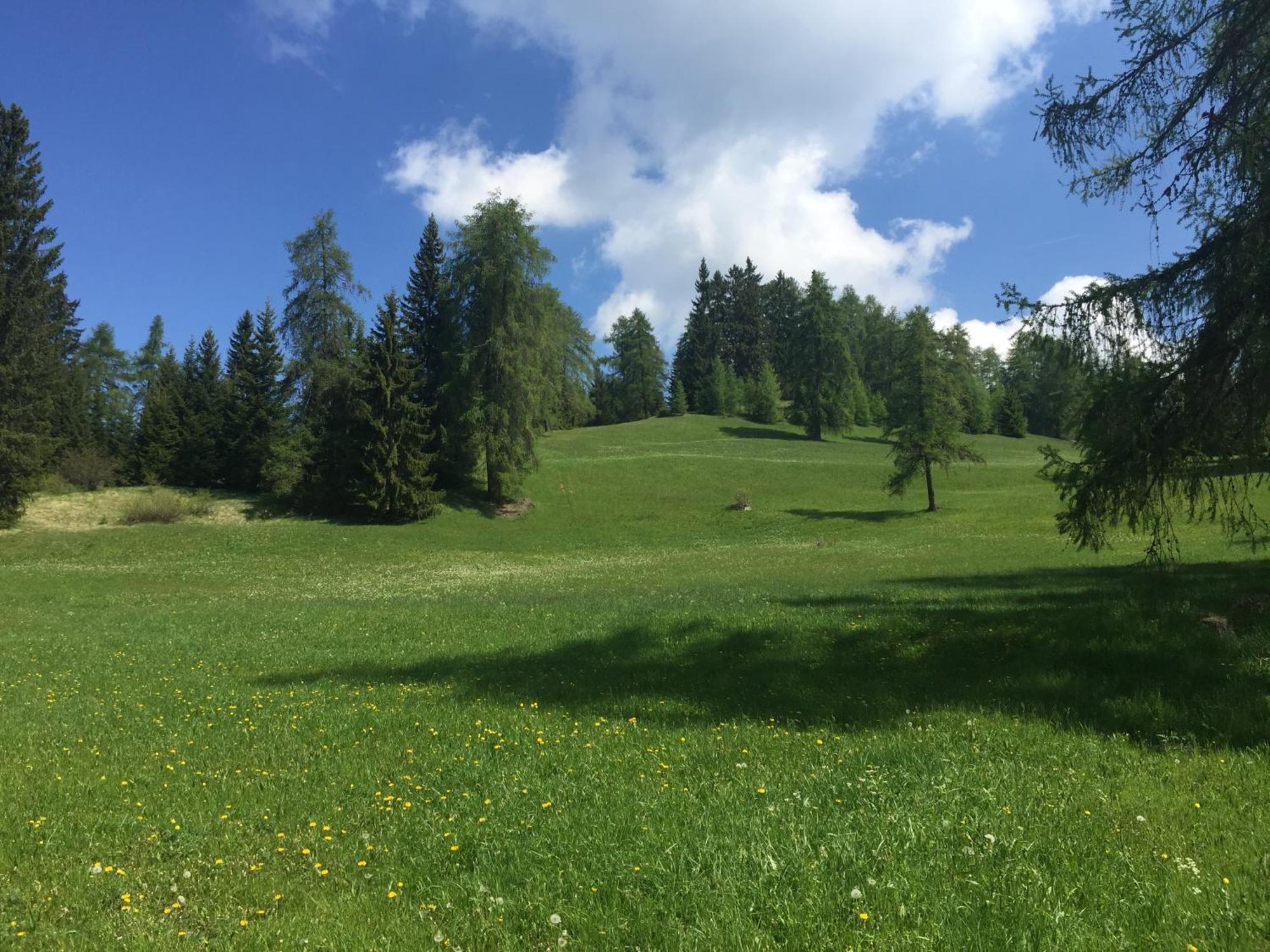 Wellness E Resort Stella Delle Alpi Ronzone Bagian luar foto